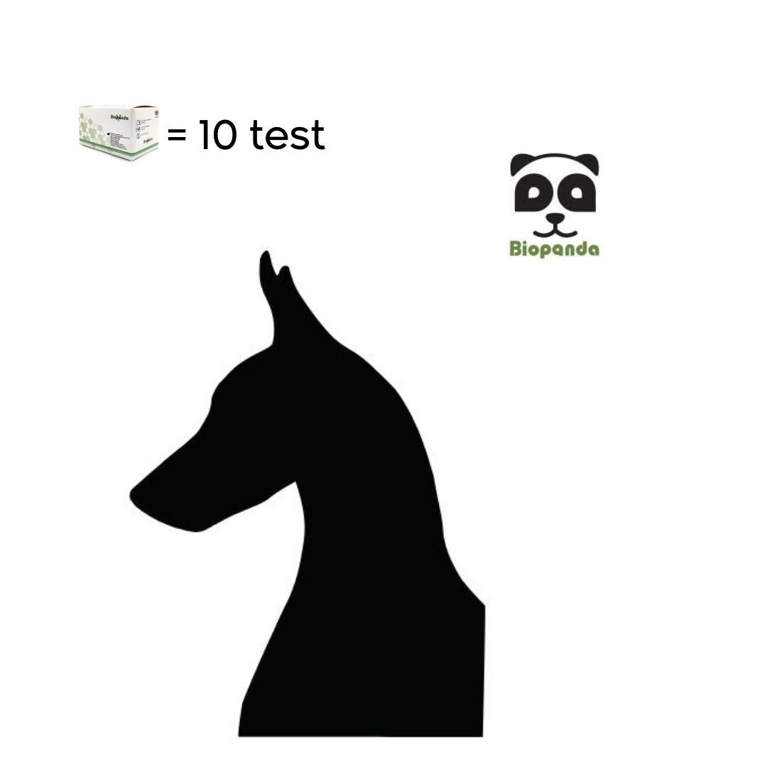 BRUCELLA (CBru-LPS Ab)